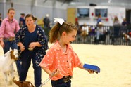 A girl receiving an award for winning a show-class competition