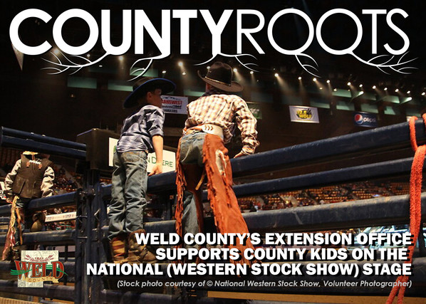 Two kids standing on the railing at the National Western stock show