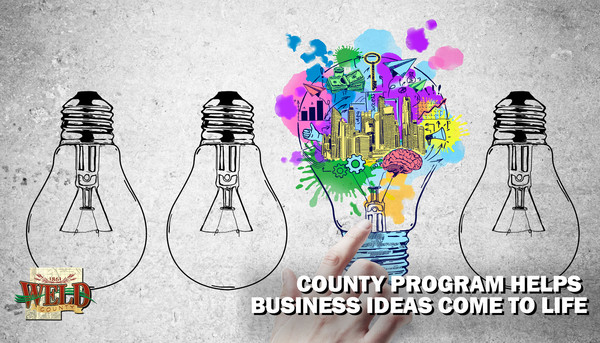 Light bulbs with one colored in. Text reads, "County program helps business ideas come to life."