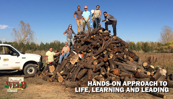 WCYCC members standing on top of cut-down trees. A county vehicle to the left. Text reads, "Hands-on approach to life, learning and leading."