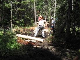 Three members of the WCYCC chopping logs.