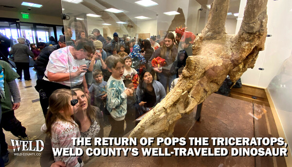 Children look into a glass case housing the Pops the Triceratops skull.