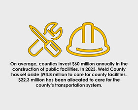 Pliers, a construction helmet and a screw driver.