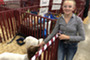 A girl standing by her animal at the Weld County Fair.