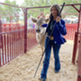 Participant Shae Stone with her animal at the Weld County Fair.