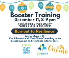 Flyer for Booster Training event, featuring info in body text; graphic shows Christmas lights and ornaments.