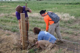 WCYCC members working on a fence.