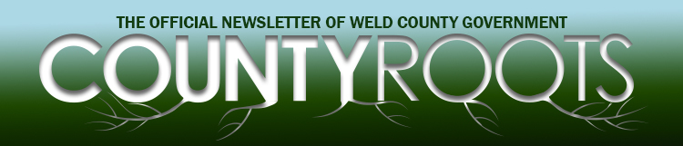 2024 County Roots Newsletter Masthead