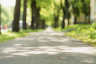 A trail alongside grass and trees.