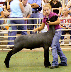 Kayla Frink showing a lamb in 2007.