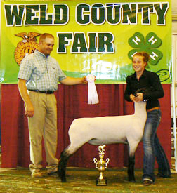 Kayla Frink posing for a picture with one of her lambs at the 2012 Weld County Fair. 