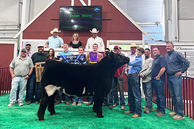 Attendees at the Junior Livestock Sale showing a grand champion beef cow.
