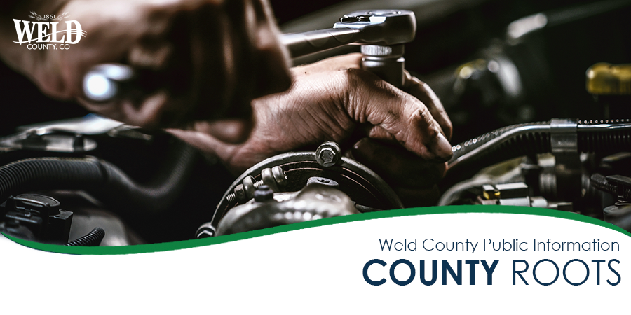 County Roots Newsletter Header - Decorative