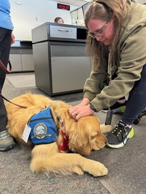A member of the WCRCC petting Zacchaeus, a comfort K-9.