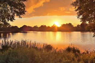 Sun on the lake