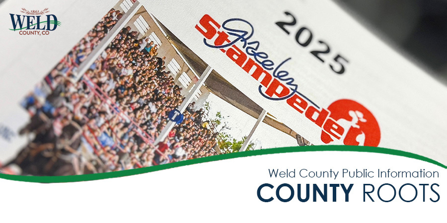 The cover of the incident action plan.