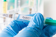 Close-up of a gloved hand holding a syringe labeled 'Rabies Vaccination' in a clinical setting.