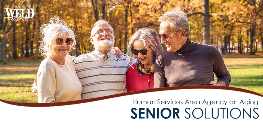 Four seniors on a walk during fall. The leaves of the trees behind them are yellow. 