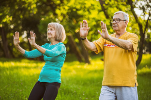 Senior couple doing tai chi in a park