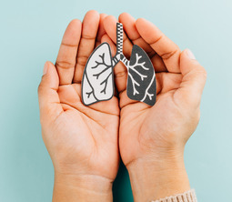 Paper lungs held by two hands