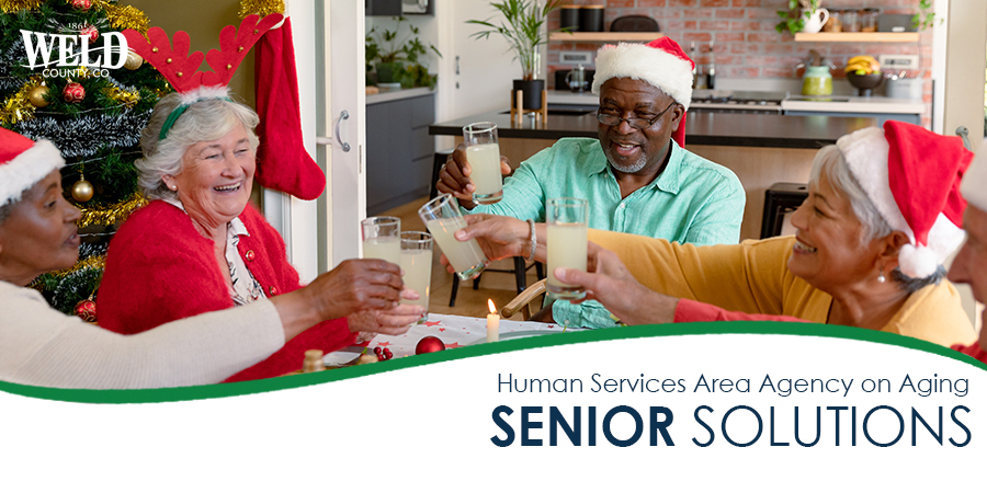 Group of older adults in festive hats toasting with juice. Banner under image reads "Human Services. Area Agency on Aging. Senior Solutions"
