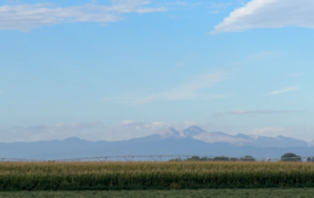 corn in field with view of mountains in the distance