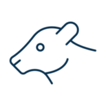 cow icon