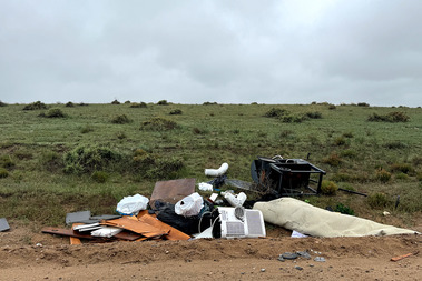 Larger items dumped alongside a county road. 