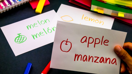 Hand holding a flashcard with the words "Apple" and "Manzana" on it