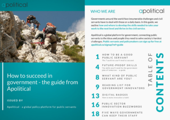 How to Succeed in Government