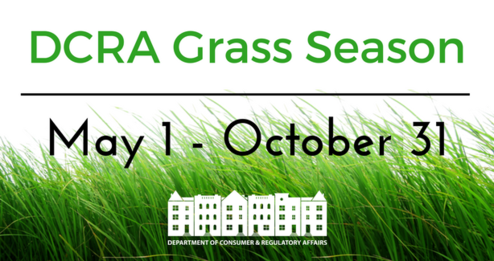 Grass Season Web Graphic