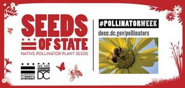 Seeds of State
