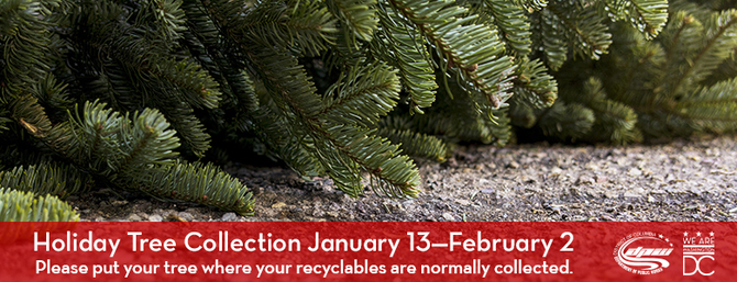 Holiday Tree Collection