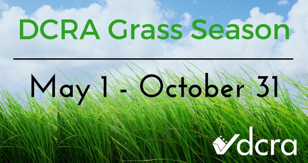 Grass Season Graphic