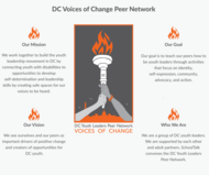 DC Youth Leaders Peer Network LOGO