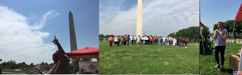 three seperate photos, including group of individuals standing with washington monument in background