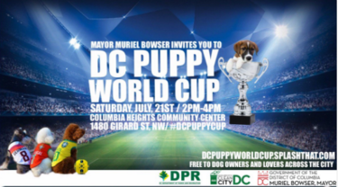 Puppy World Cup
