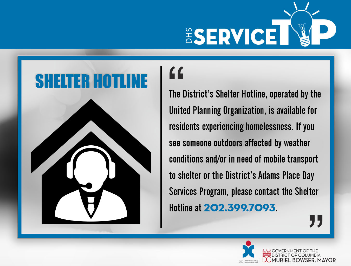 Shelter Hotline
