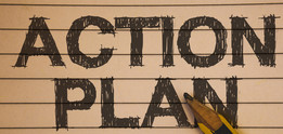 action plan