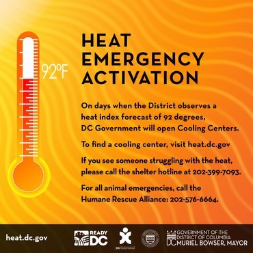 Heat Emergency 7.23.2020