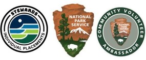 NPS