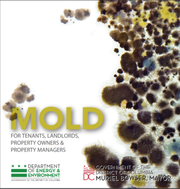 mold