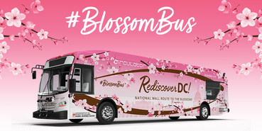 Blossom Bus