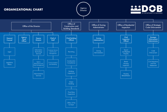DOB Organizational Chart