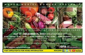 DPR Free Veggies