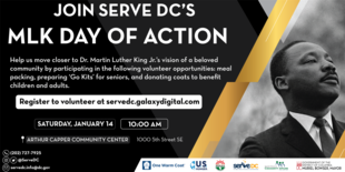 MLK Day of Action