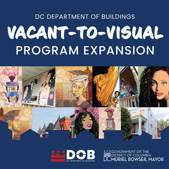 DOB Vacant-to-Visual Graphic