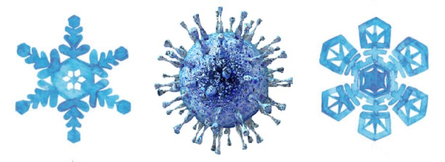 Image Description: Image of two blue snowflakes with a blue COVID-19 virus in between