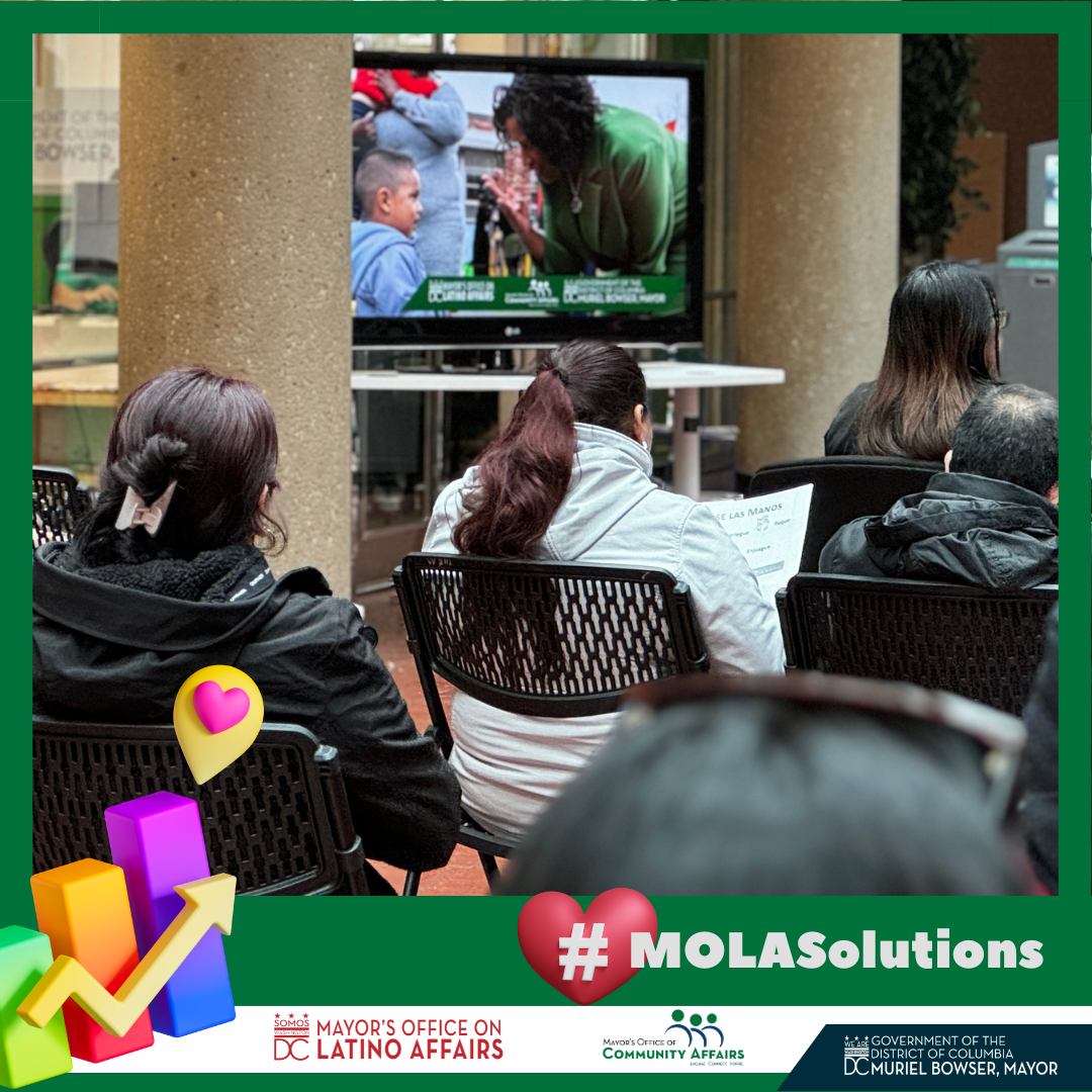 Mola Solutions