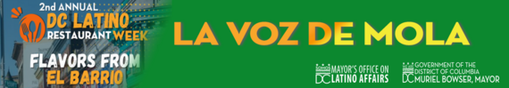 La Voz de Mola
